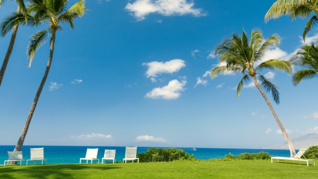 天博体育官方平台入口田径训练拉着跑的器材叫什么