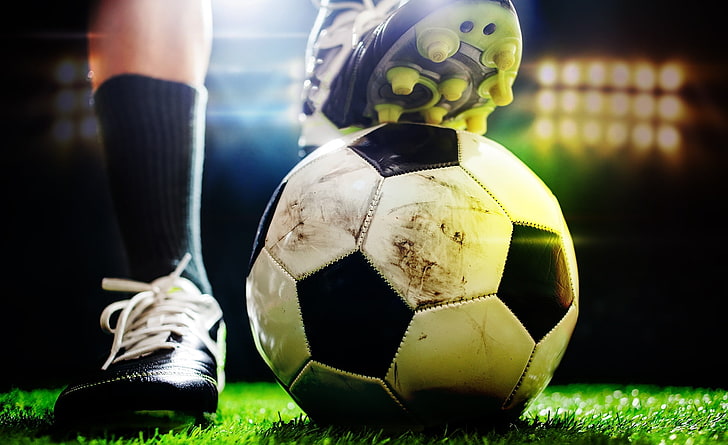 天博网站登录welcome室内健身怎么练背